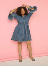 Striped Denim Shirtdress