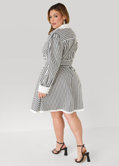 Striped A Line Shirtdress