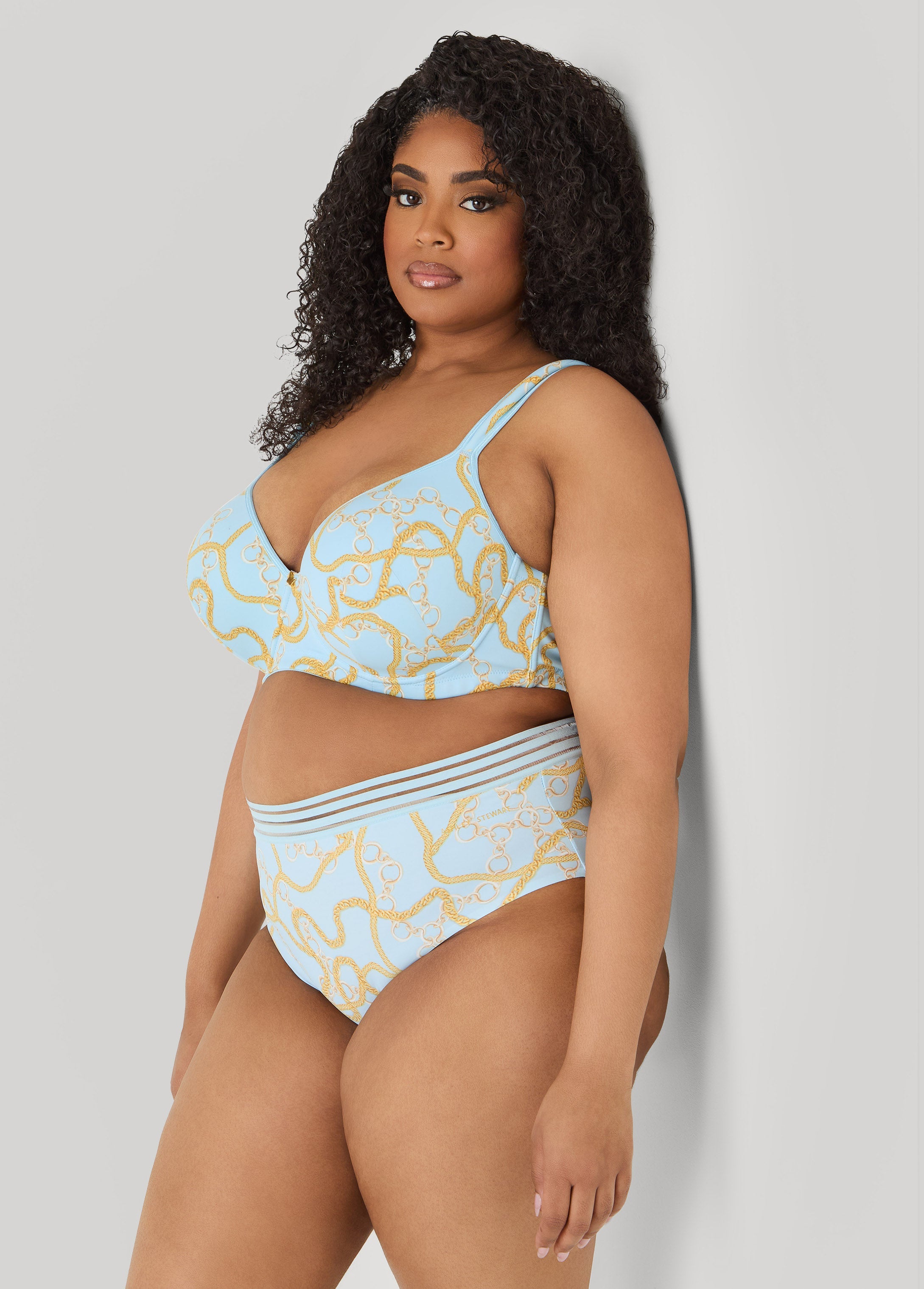 Chain Print Sheer Waist Briefs